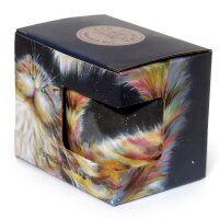 Kim Haskins Regenbogen Cat Tasse aus Porzellan 300ml