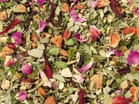 Bio  Moringa-Eukalyptus Rosentau