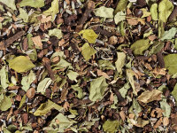 Bio Schoko Chai