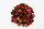Gute Laune