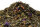 Tropical Fruits Bio