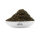 Darjeeling 2flush FTGFOPI Bio